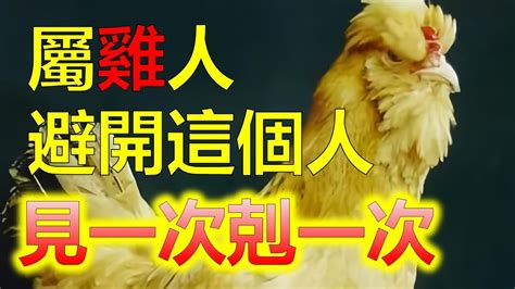 屬雞跟什麼生肖合|【雞跟什麼生肖合】屬雞的你，快來看看跟什麼生肖最合！找到命。